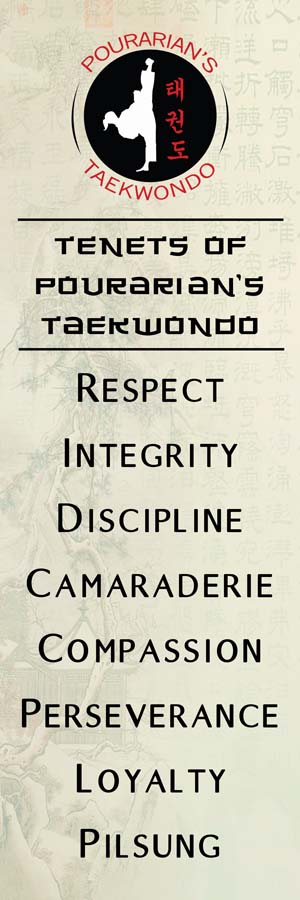 pourarian taekwondo tenets