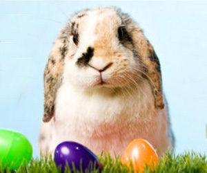 March 26: Join us for our Easter egg hunt!