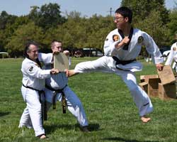 taekwondo summer testing