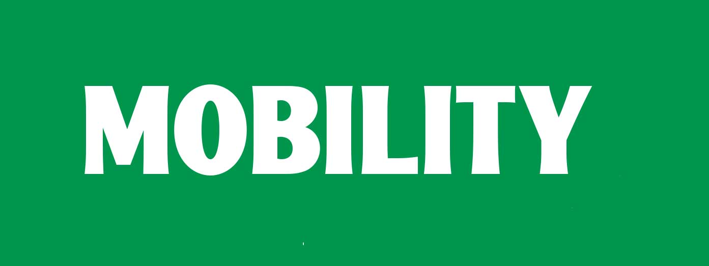 mobility workshop