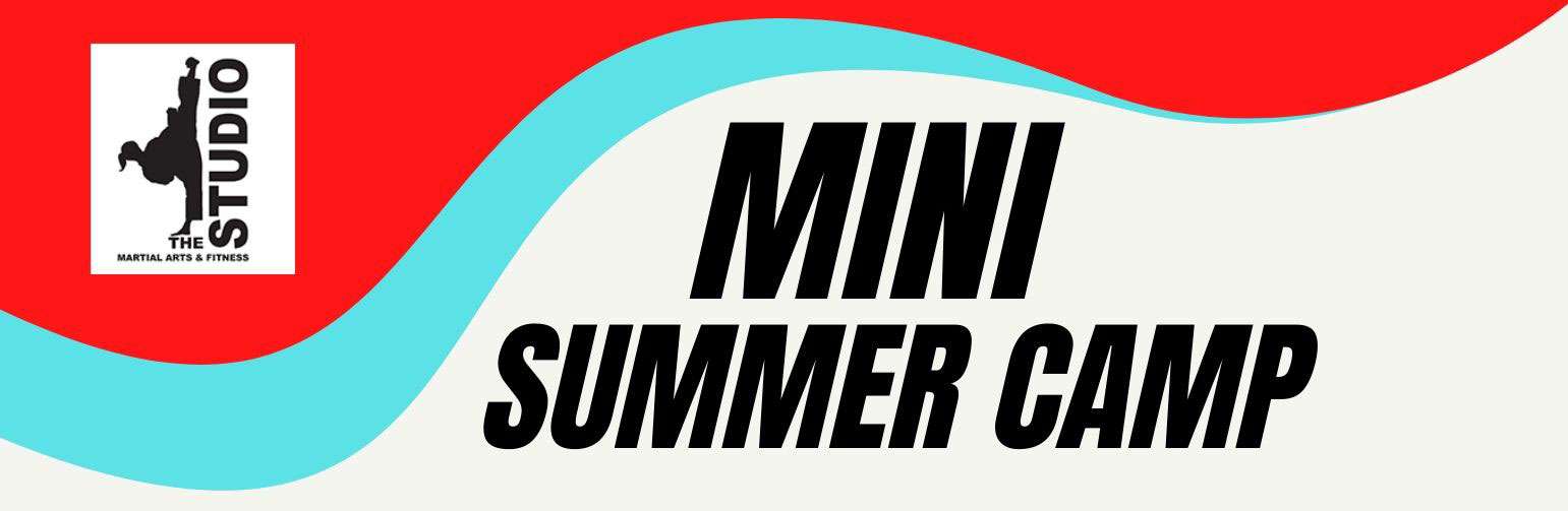 roseville mini summer camp