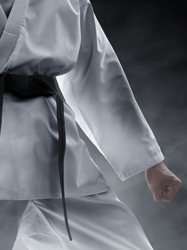 martial arts taekwondo roseville