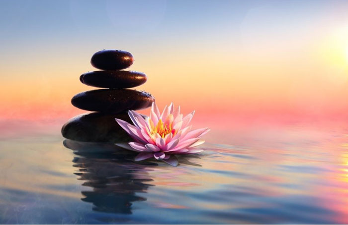 meditation photo of smooth rocks stacked on each other next to a lotus flower surrounded by water