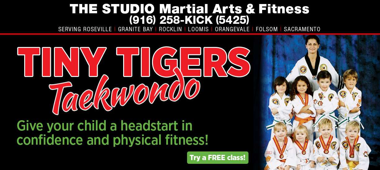 photo of small children in martial arts uniform with the words Tiny Tigers Taekwondo